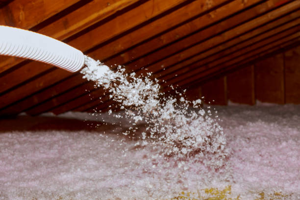 Best Blown-in Insulation in Haynesville, LA