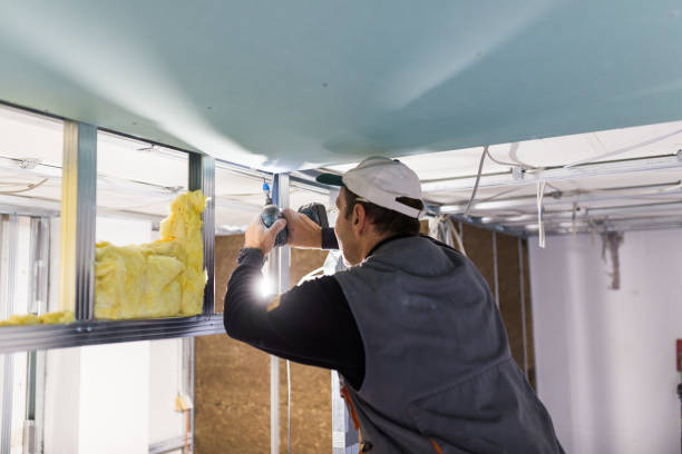 Best Residential Insulation in Haynesville, LA