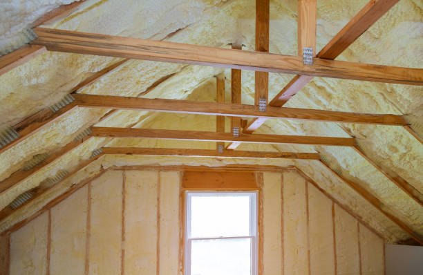 Professional Insulation Contractor in Haynesville, LA