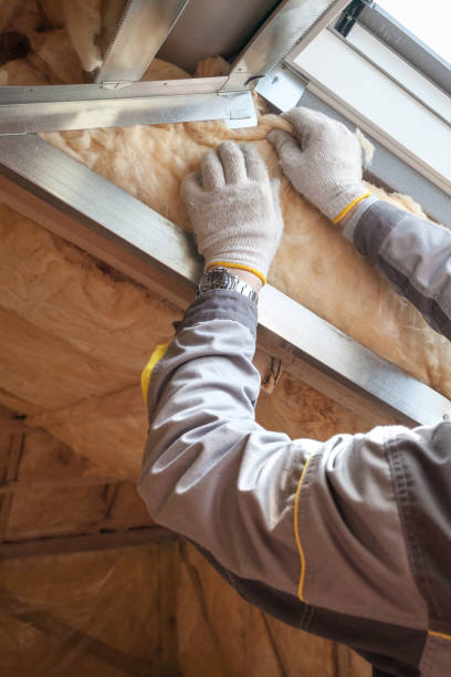 Best Spray Foam Insulation in Haynesville, LA
