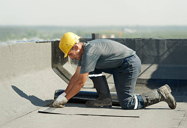 Best Geographic-Specific Insulation Services in Haynesville, LA