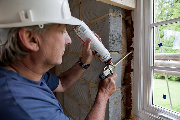 Best Cellulose Insulation in Haynesville, LA